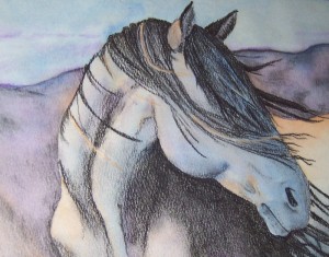 "Pryor Horse", charcoal and watercolor﻿ by Kristin Johnson Hoffman